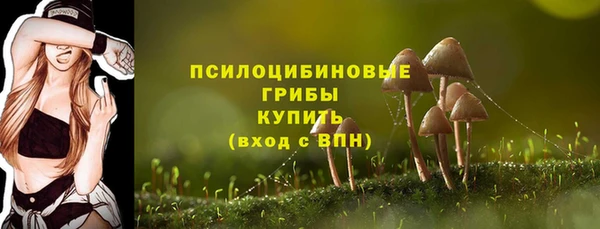 а пвп мука Беломорск