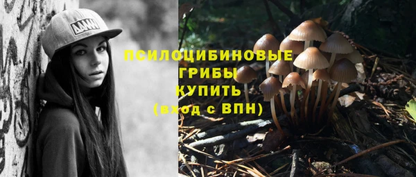 а пвп мука Беломорск
