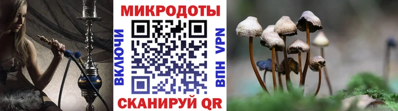 Псилоцибиновые грибы Psilocybe  Купить  Ардон 